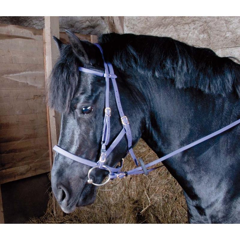 Biotack Bridon Licol - SHOP HORSE